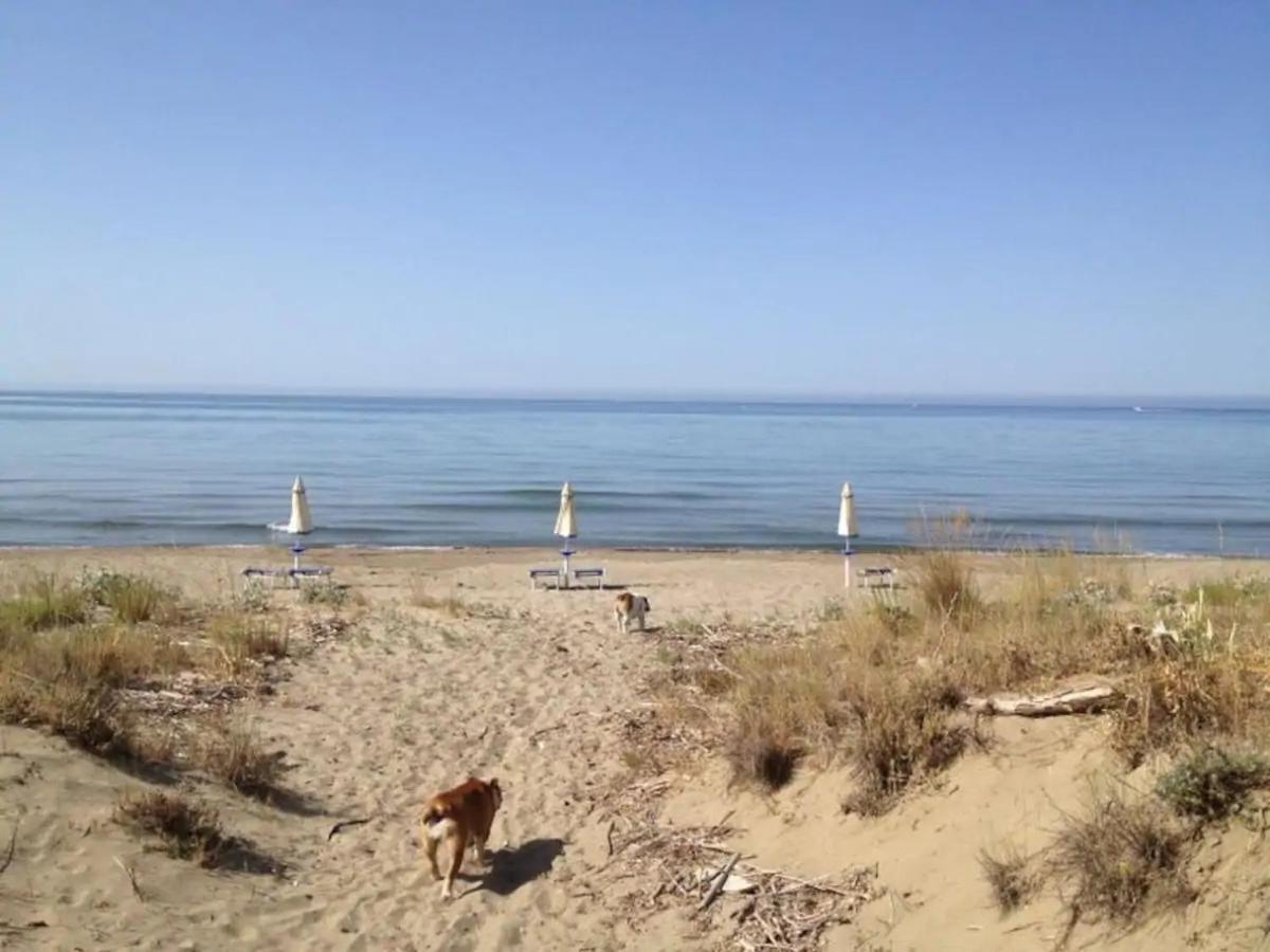 Tenuta Le Marze Castiglione della Pescaia Extérieur photo