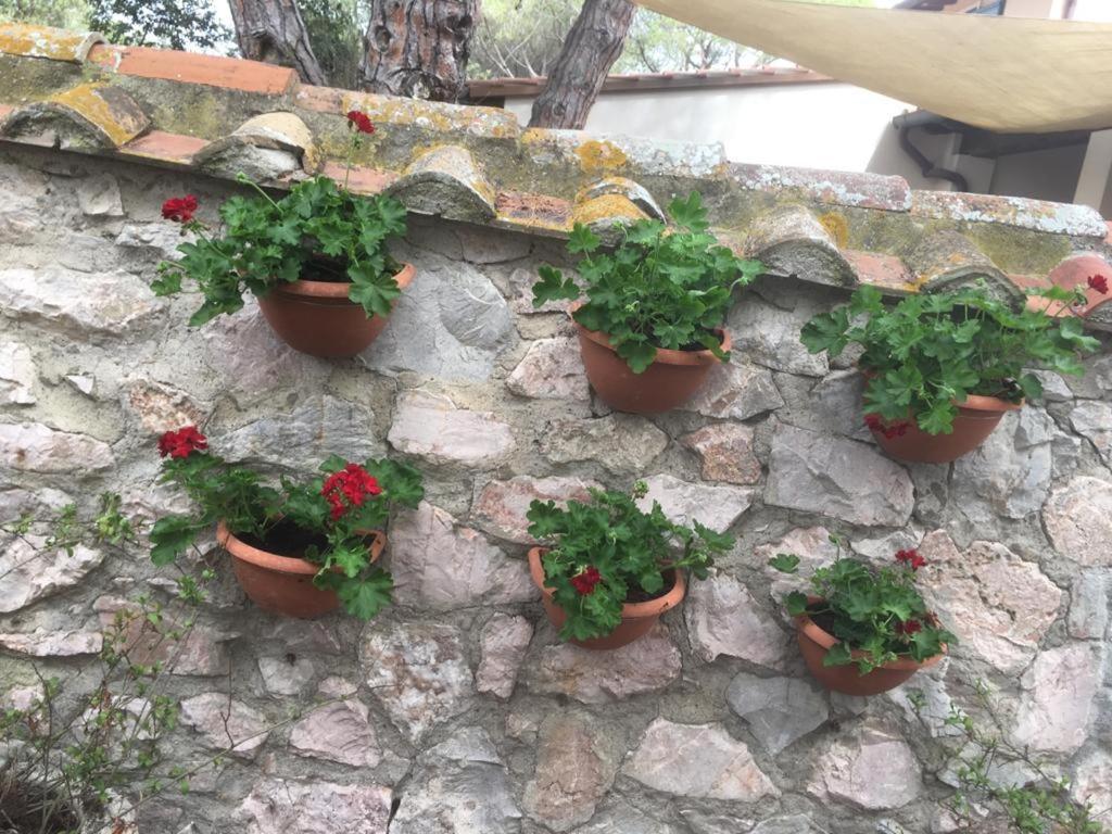 Tenuta Le Marze Castiglione della Pescaia Extérieur photo