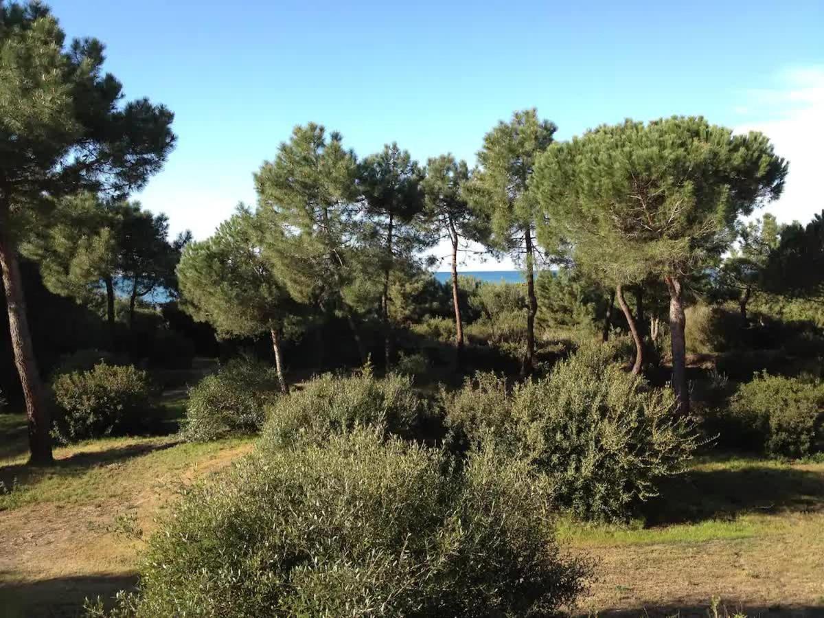 Tenuta Le Marze Castiglione della Pescaia Extérieur photo