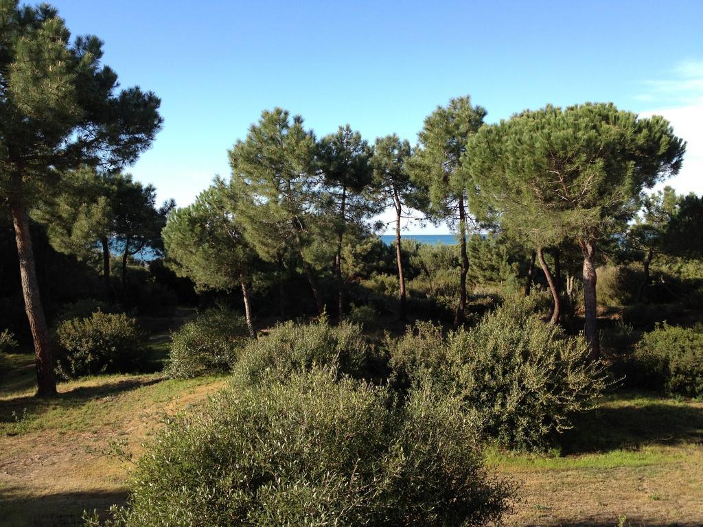 Tenuta Le Marze Castiglione della Pescaia Extérieur photo